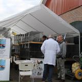 Aalten, Kleindiervereniging, keuring, 8 oktober 2016 037.jpg